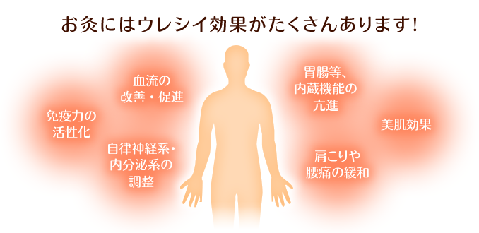 鍼灸・お灸で期待できる効果(免疫力・血流改善・自律神経の調整・美肌など)の図解