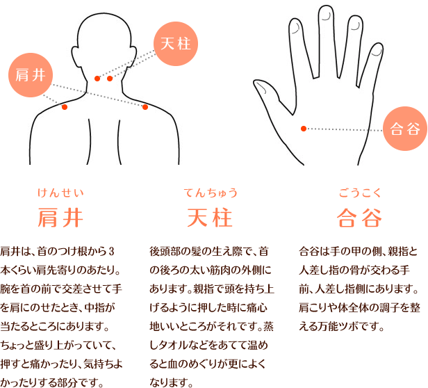 肩こりに効く代表的なツボ(肩井・天柱・合谷)の図解